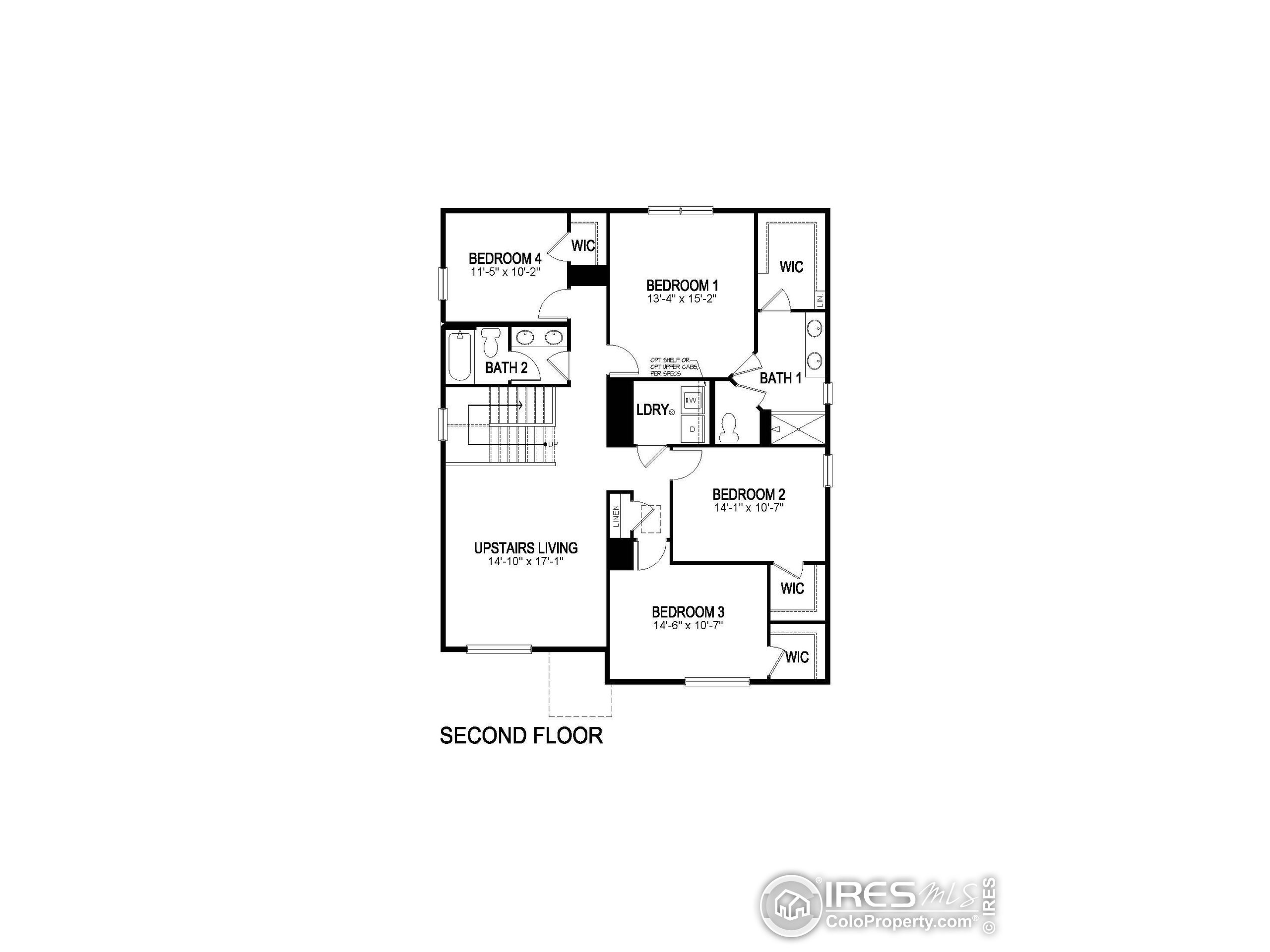 Globeflower St, Wellington, CO 80549 #1