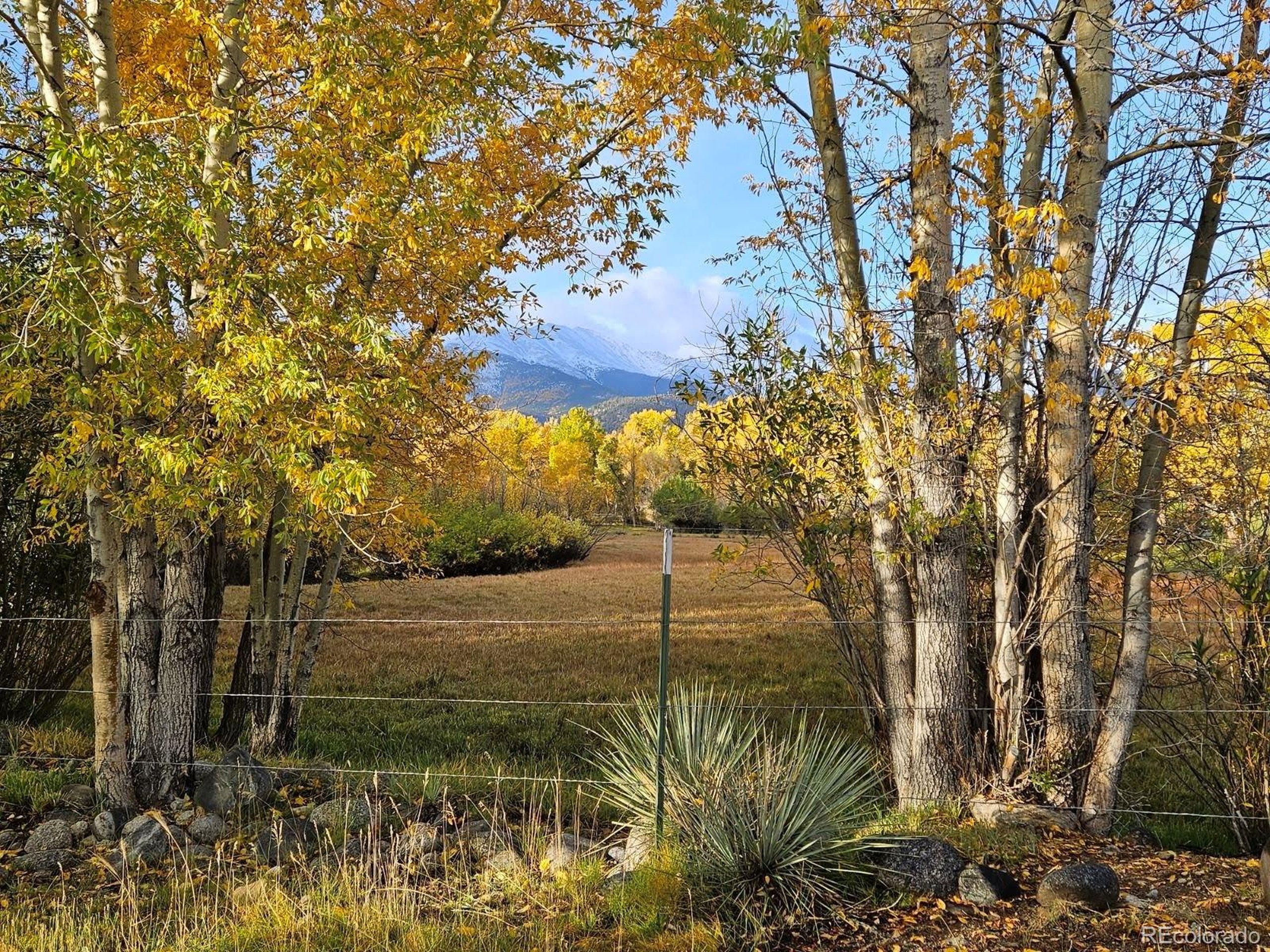 County Road 338 , Buena Vista, CO 81211 #1
