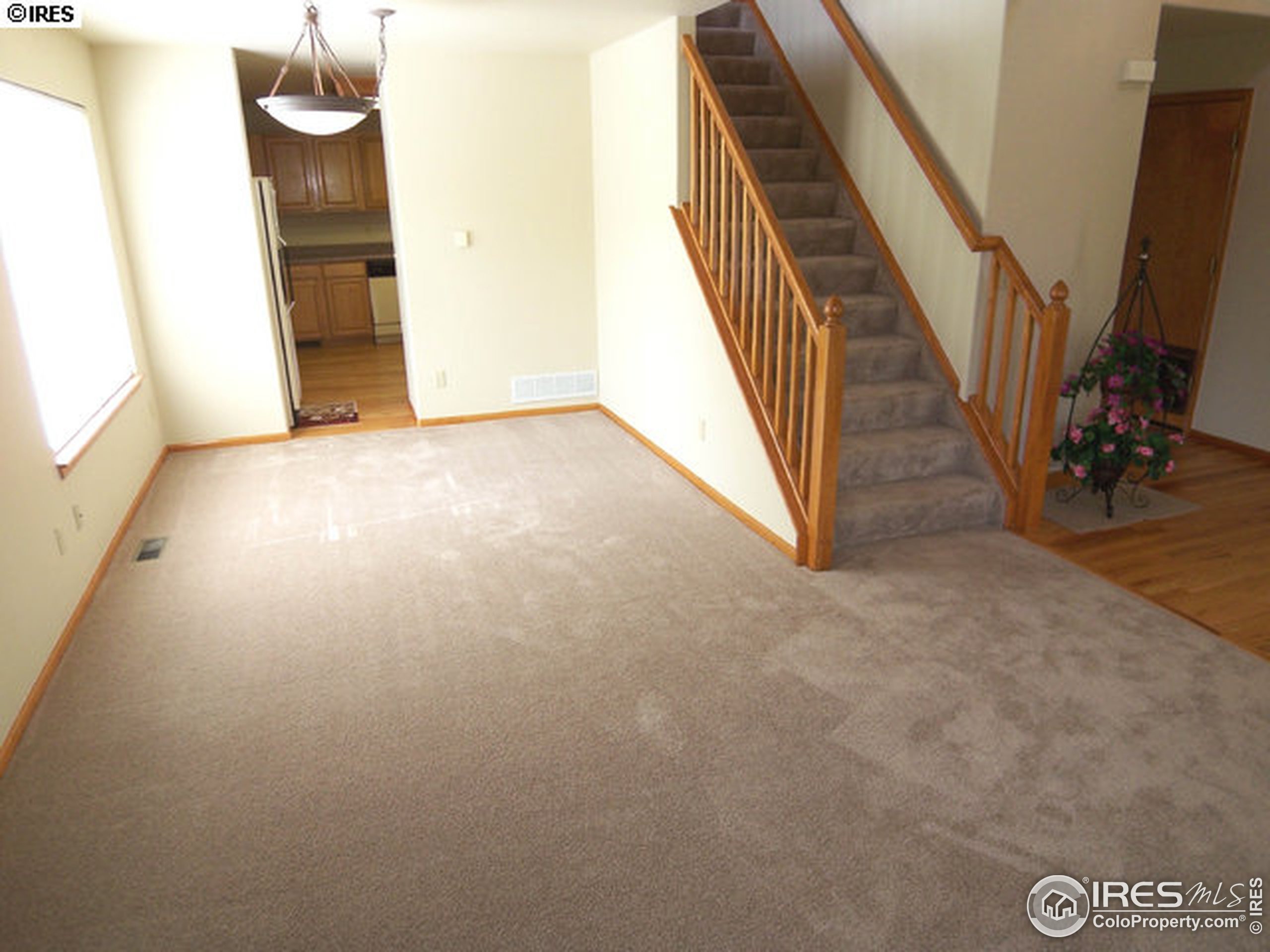 Pendleton Ave, Longmont, CO 80504