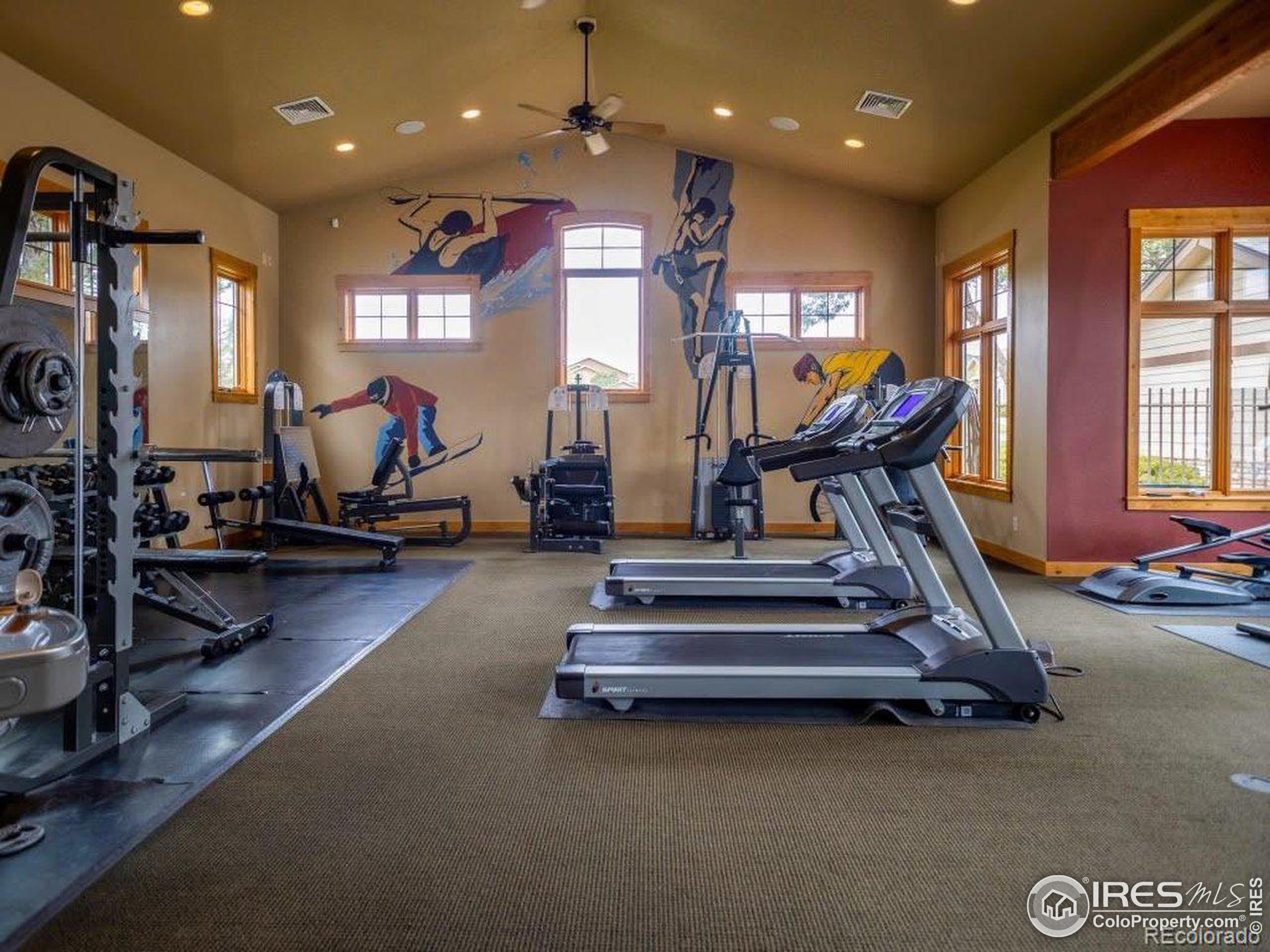 3rd St, Greeley, CO 80634 #1