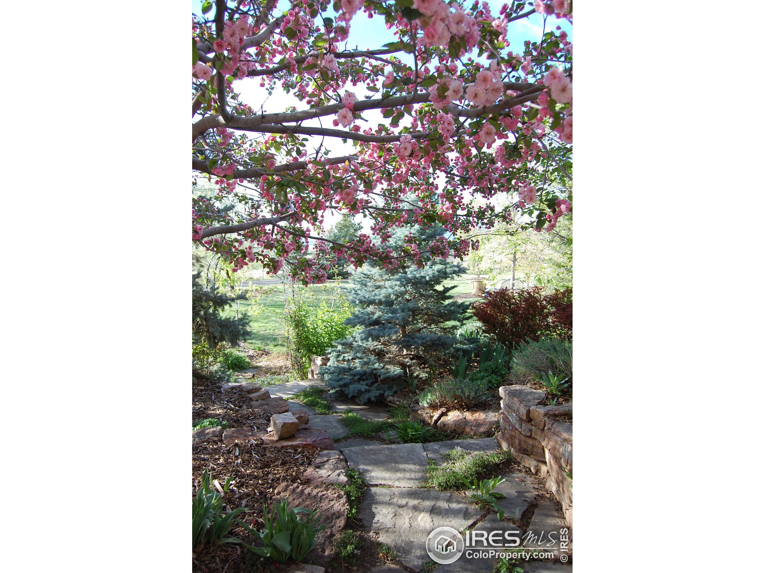 Middle Fork Rd, Boulder, CO 80302 #1