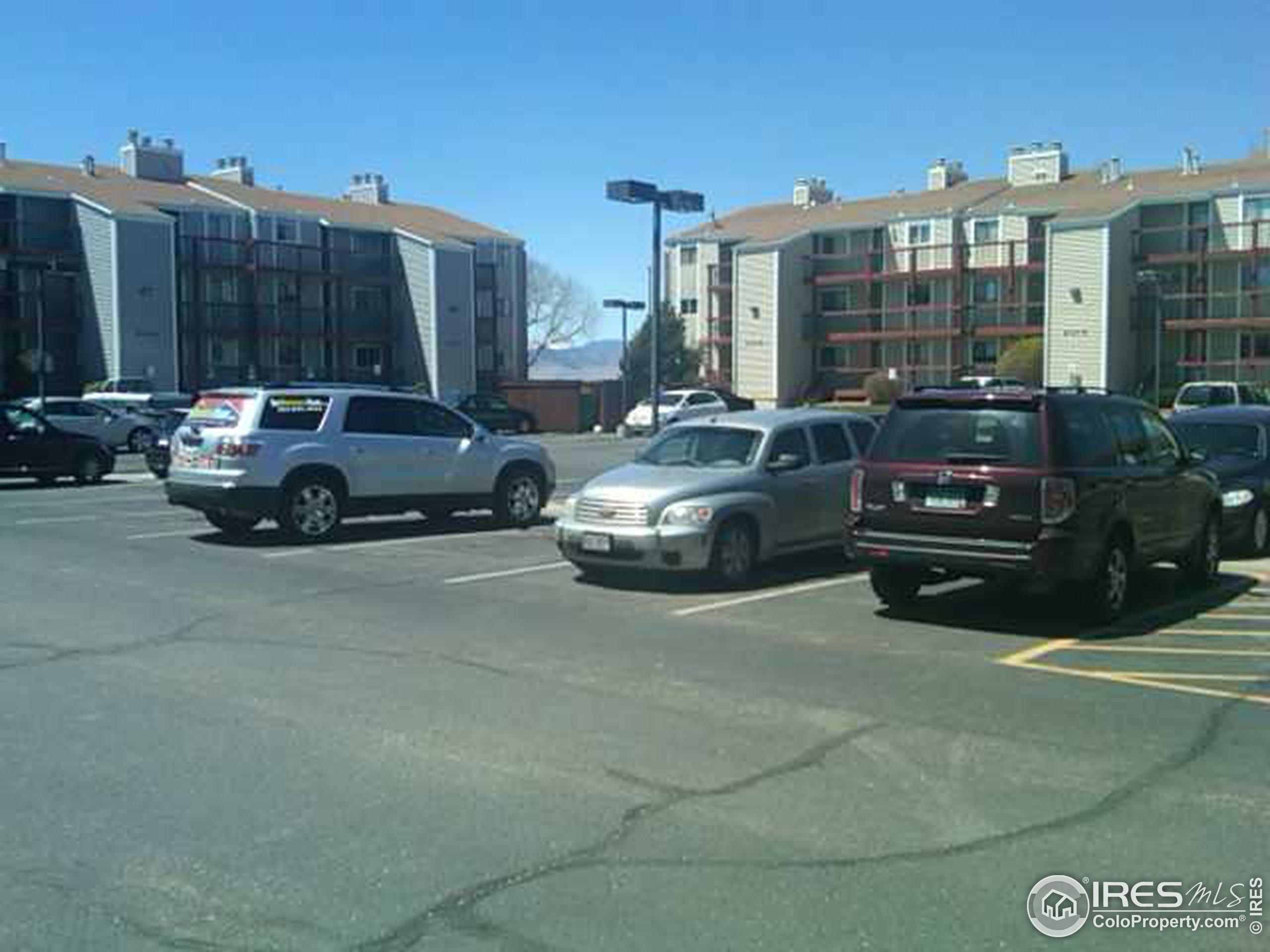Clay St, Westminster, CO 80031 #1