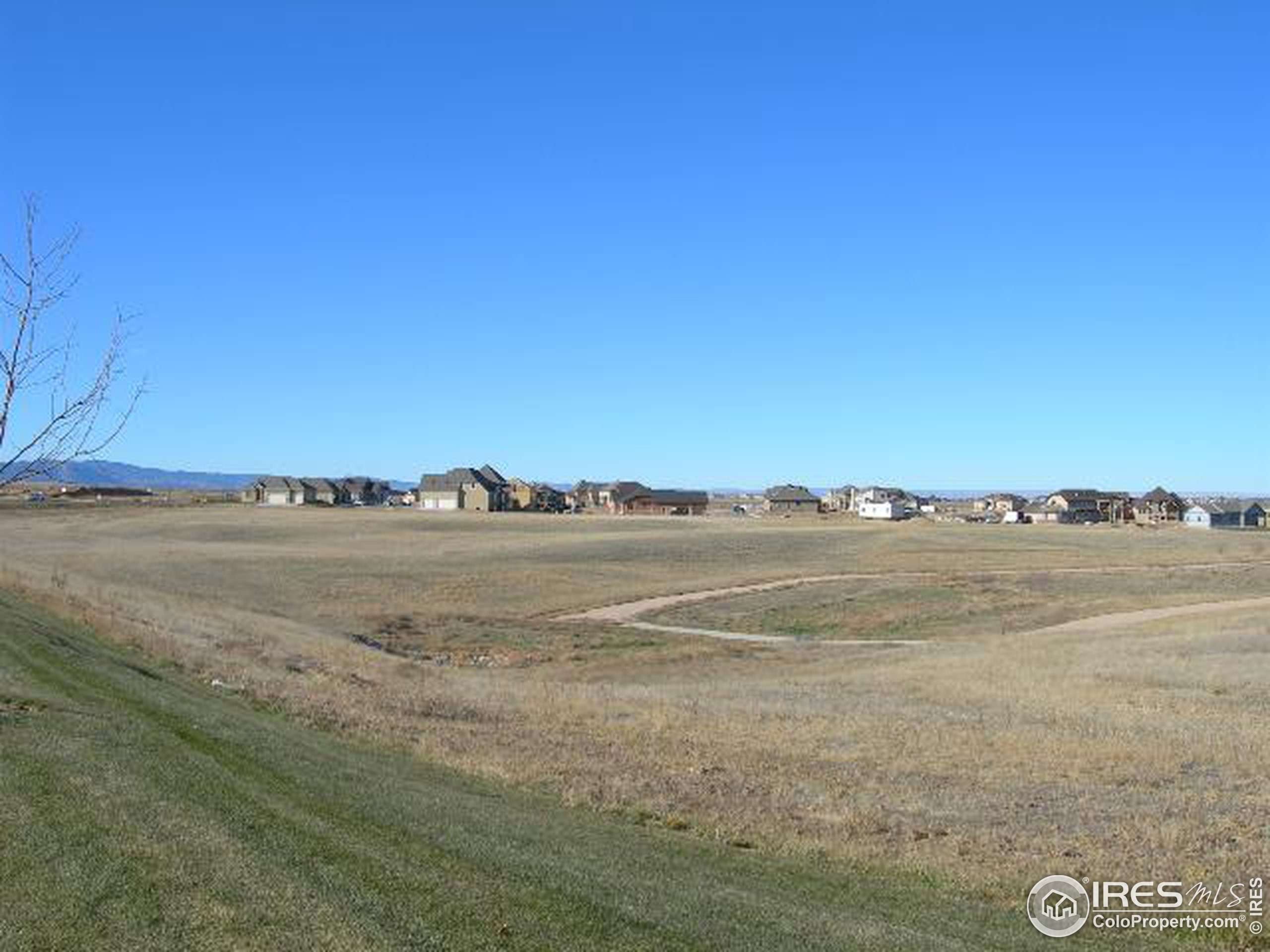 Rosecroft Dr, Windsor, CO 80550 #1