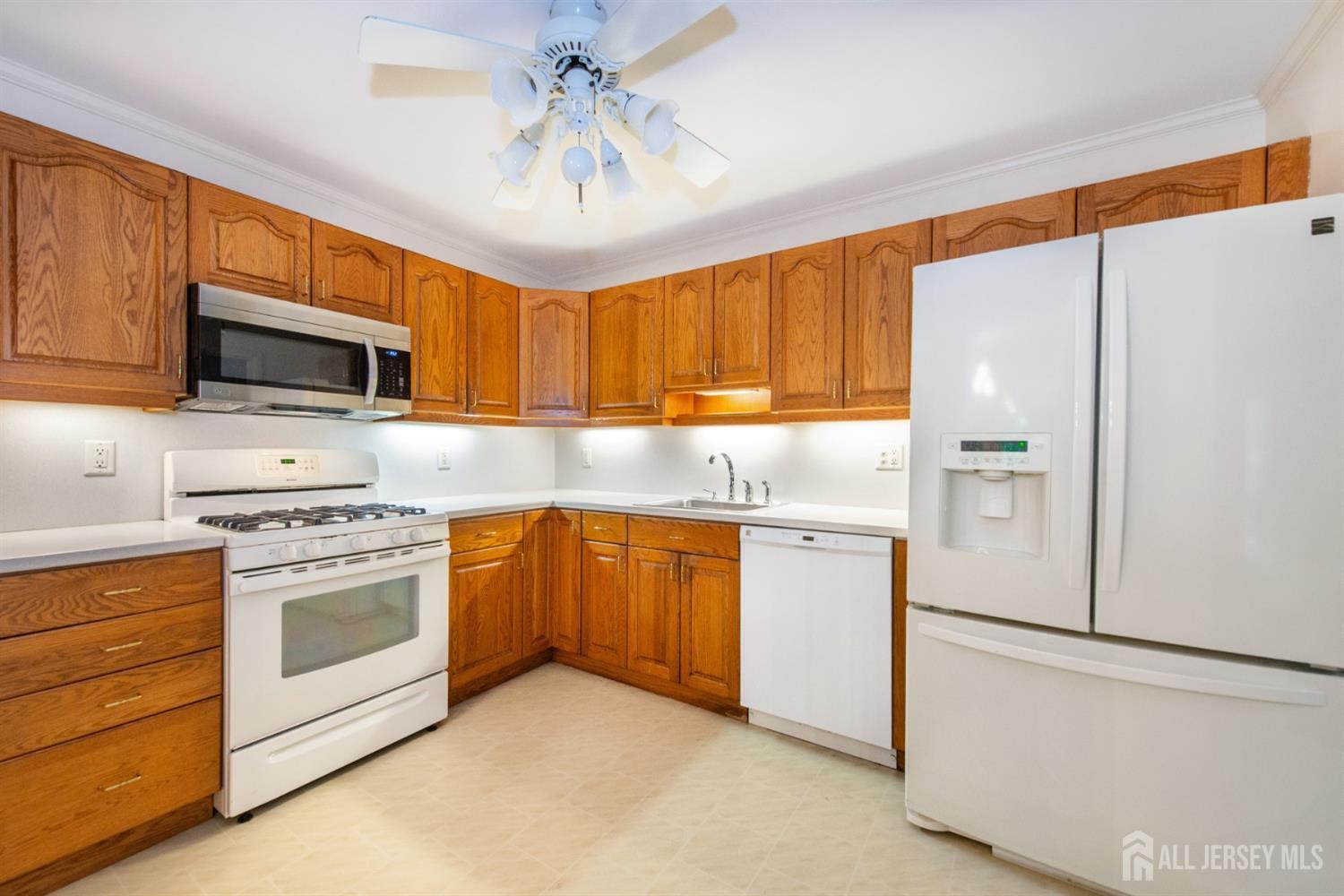 Hidden Hollow Ct, Edison, NJ 08820 #1