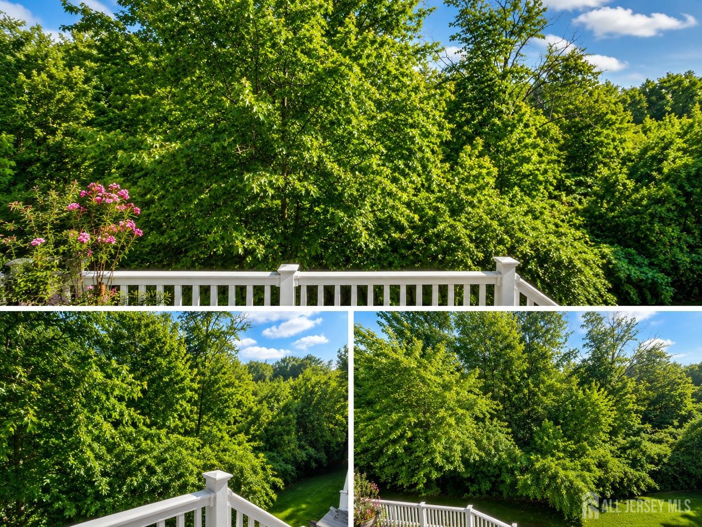 Wisteria Ct, Monroe Township, NJ 08831 #1