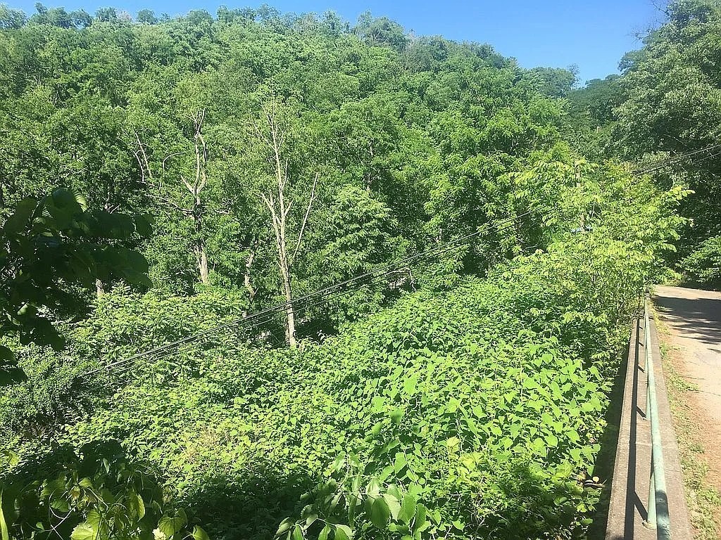 57th St, Pittsburgh, PA 15201 #1