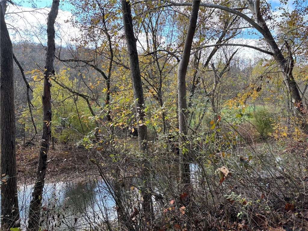 New Hill Rd, Grindstone, PA 15442