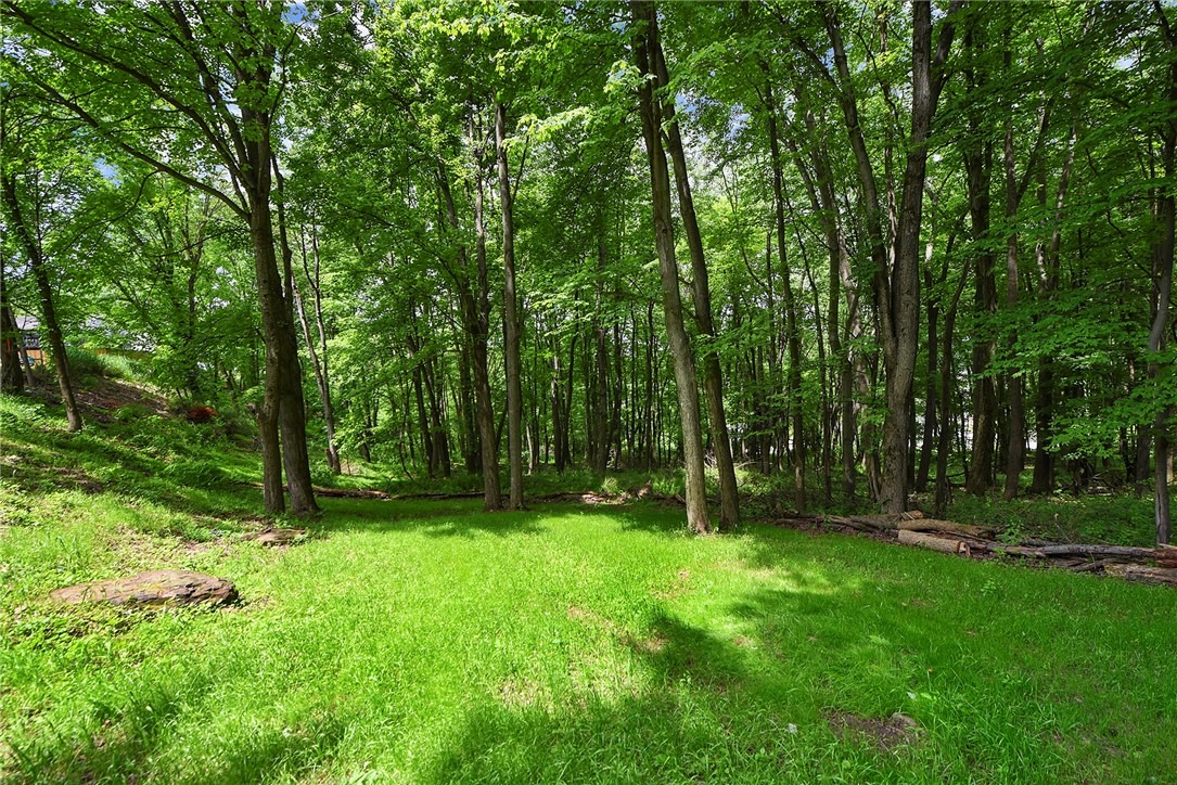 Franklin Rd, Seven Fields, PA 16046 #1