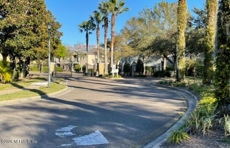 Snowy Canyon Dr, Jacksonville, FL 32256 #1