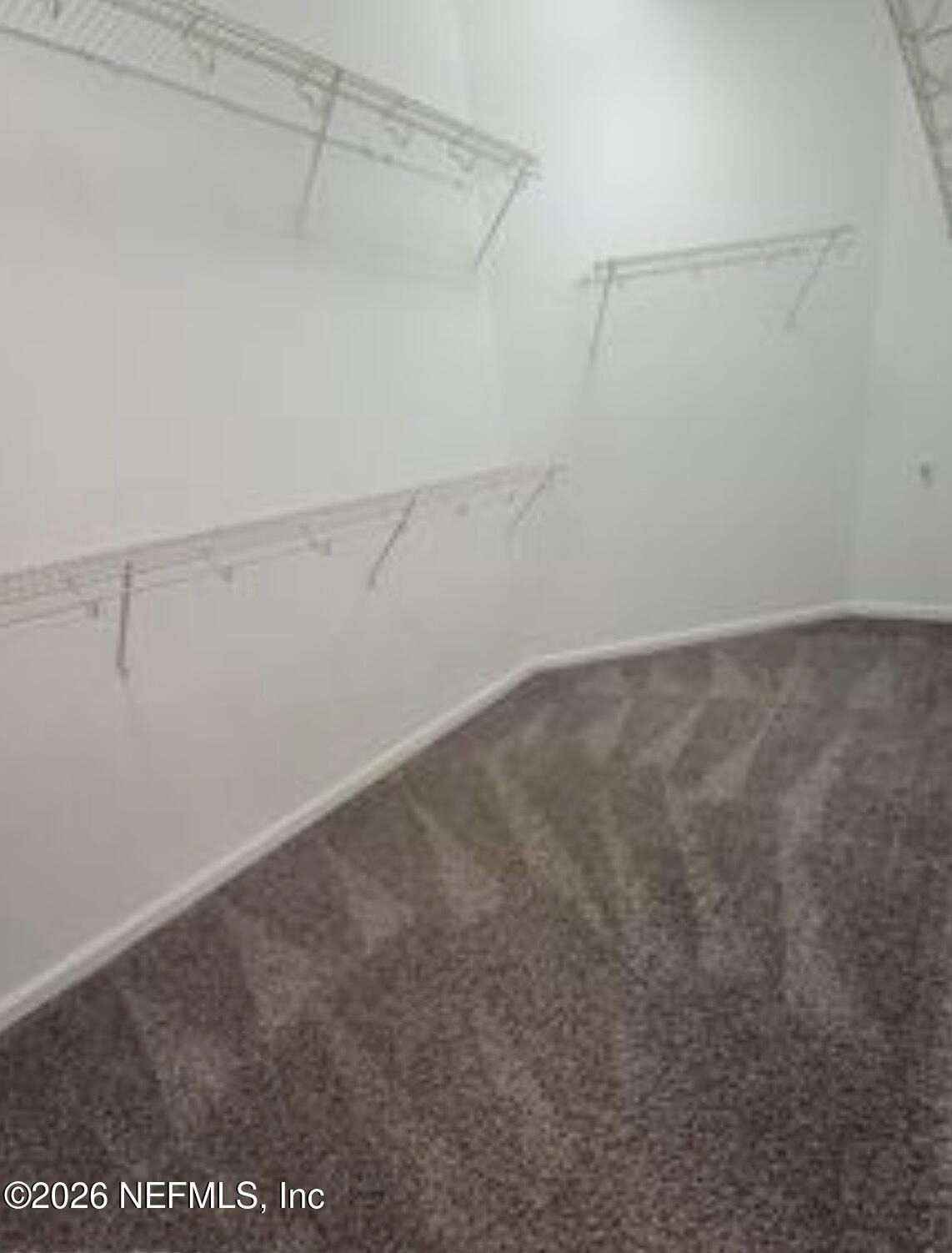 White Blossom Cir, Jacksonville, FL 32258 #1