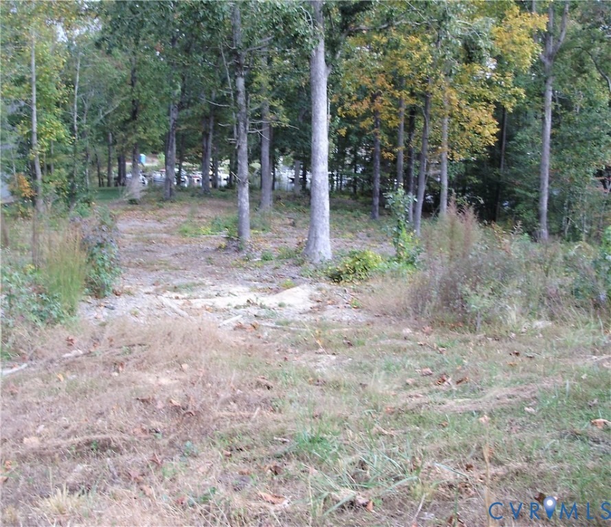 Chesdin Harbor Dr, South Chesterfield, VA 23803 #1