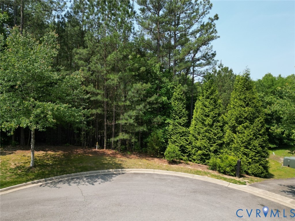 Founders Bridge Ter, Midlothian, VA 23113 #1