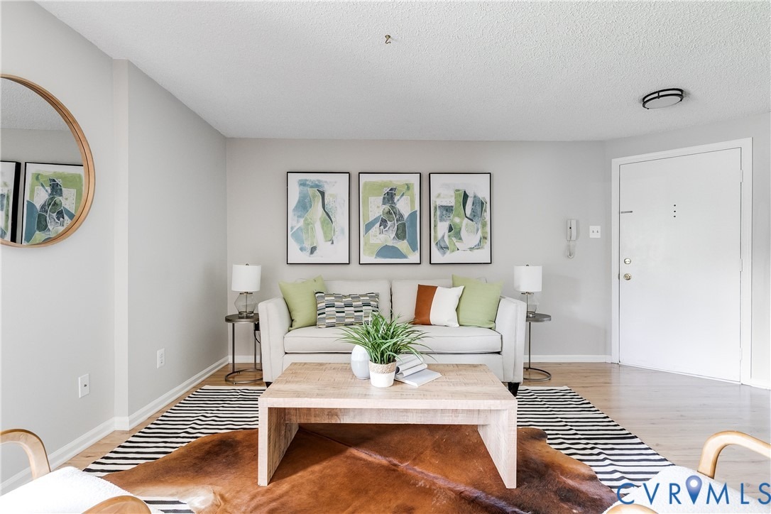 Palmer Place Ct, Henrico, VA 23238 #1