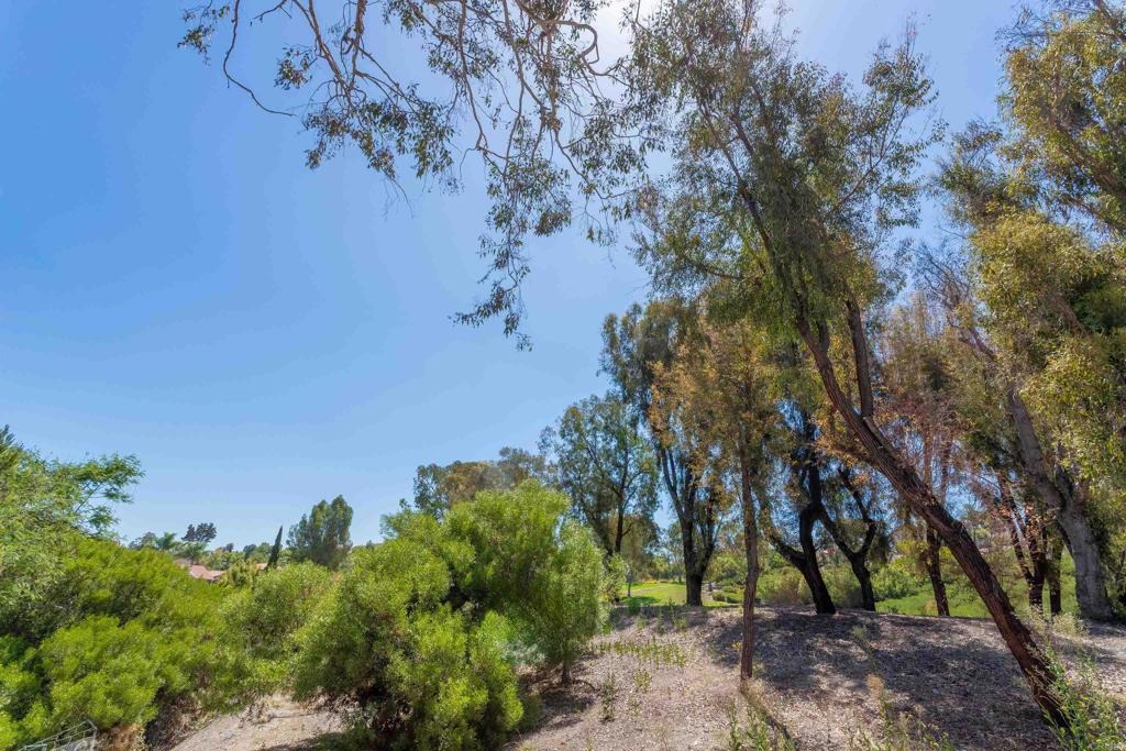 Olive Ave, Vista, CA 92083 #1