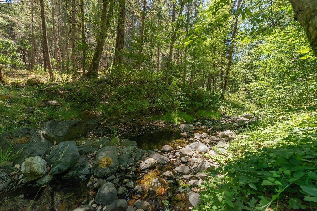 Little Browns Creek Rd, Weaverville, CA 96093
