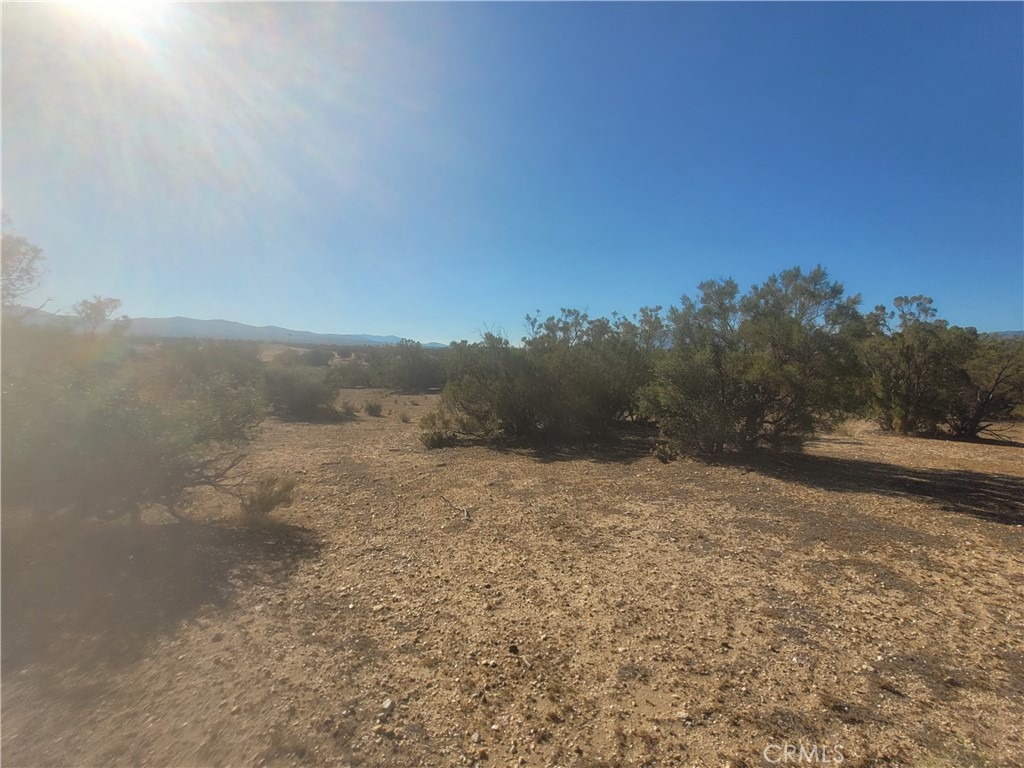Harma Pl, Anza, CA 92539 #1