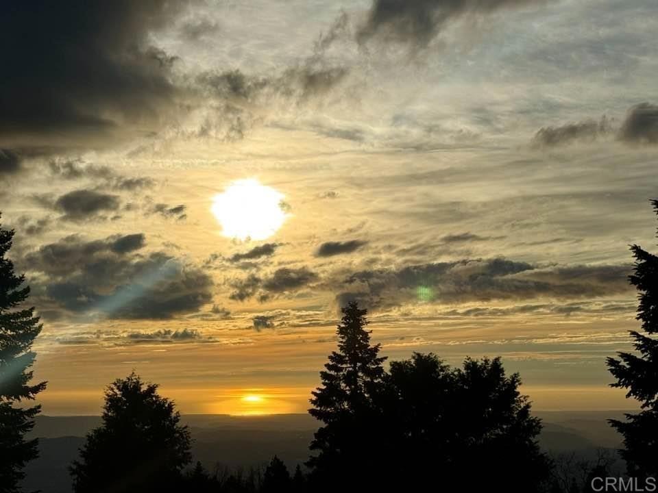 Fern Meadow Rd, Palomar Mountain, CA 92060 #1