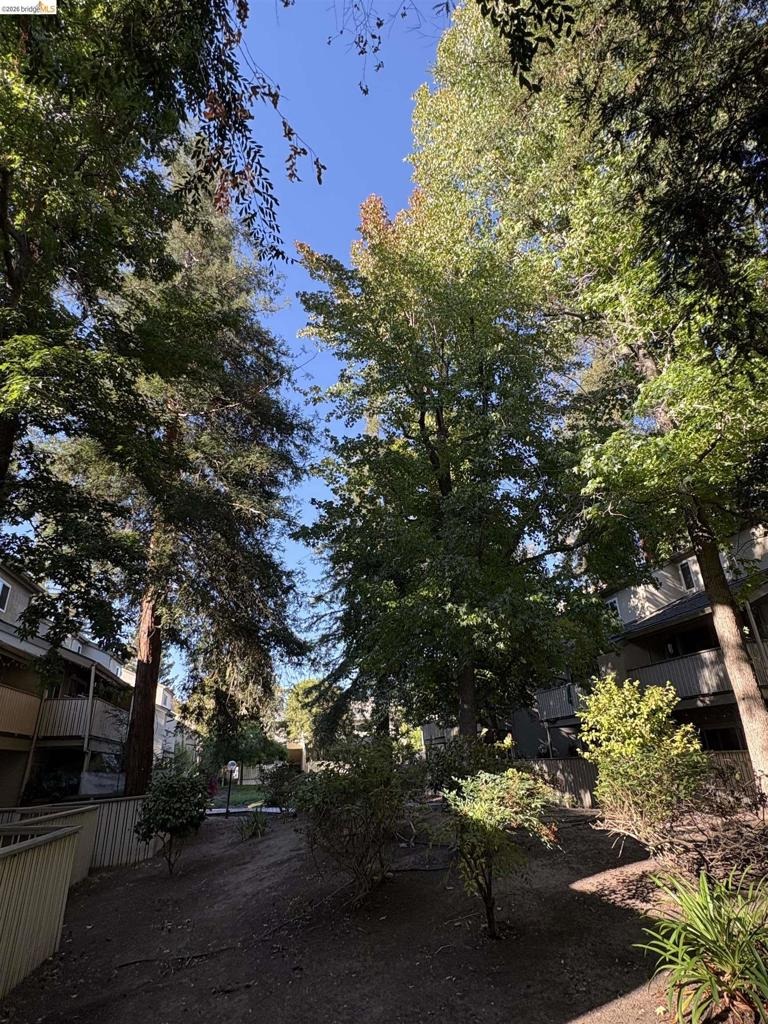 Oak Rd, Walnut Creek, CA 94597