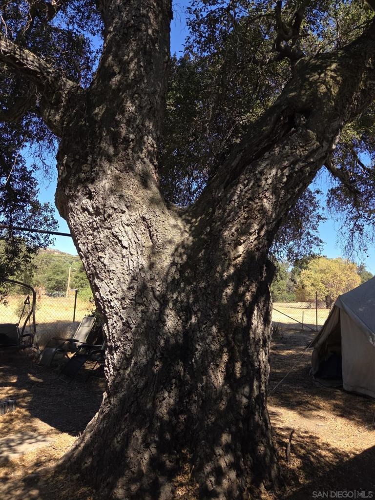 Buckman Springs Rd, Campo, CA 91906 #1