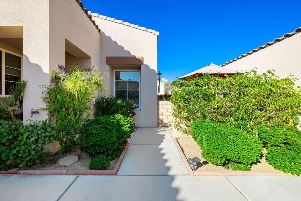 Soft Moonlight , LA Quinta, CA 92253