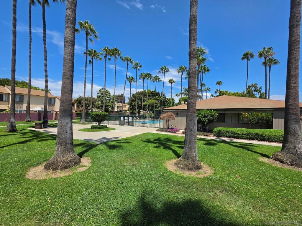 Caminito Hiedra , San Diego, CA 92154 #1