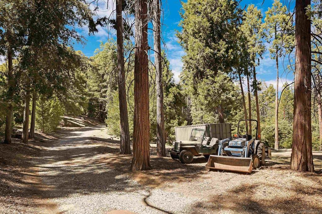 Canfield Rd, Palomar Mountain, CA 92060 #1