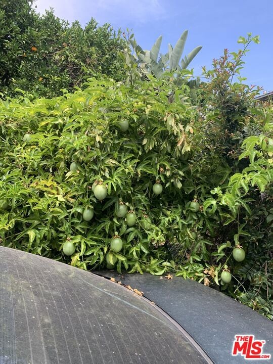 Goodwin Ave, Los Angeles, CA 90039
