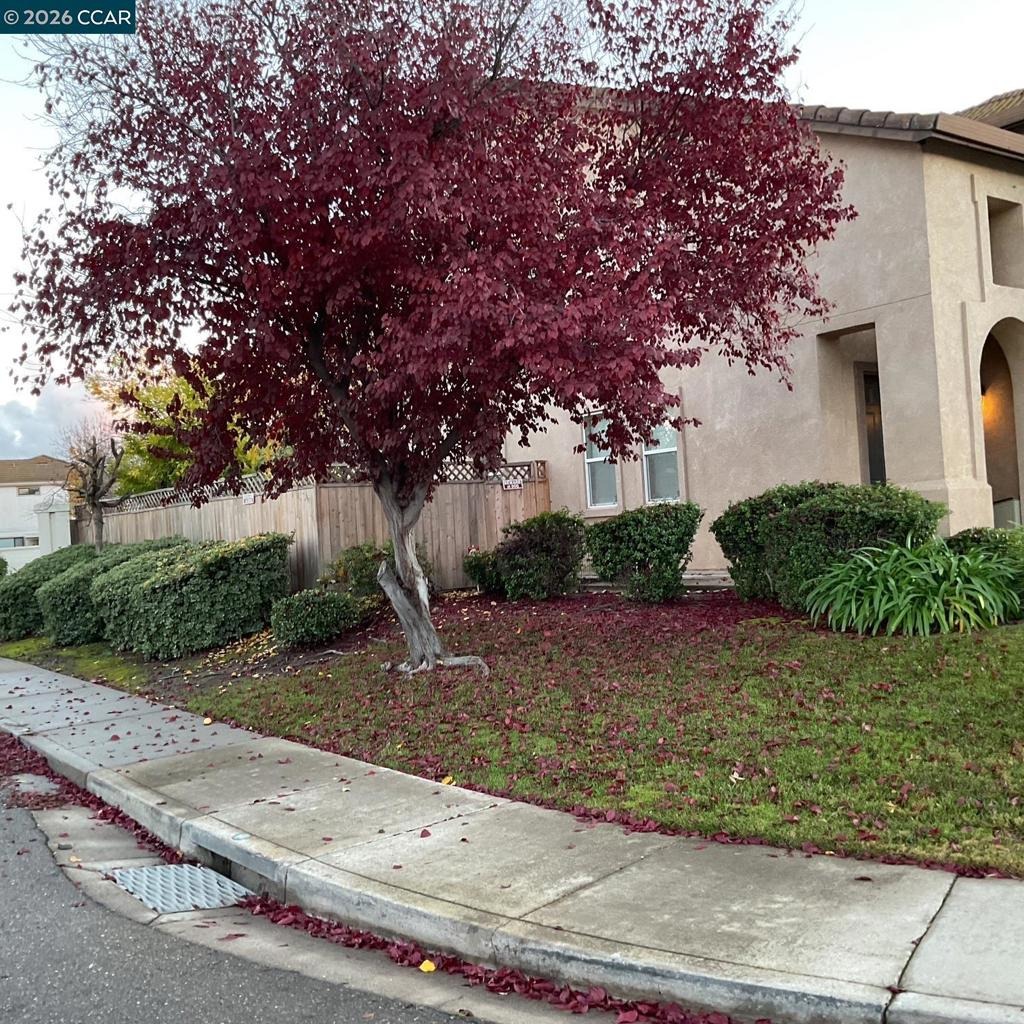 Goldpine Way, Antioch, CA 94509 #1