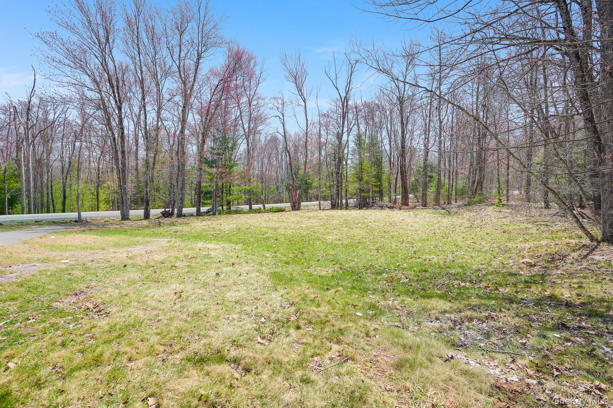County Route 56 , Wurtsboro, NY 12790 #1