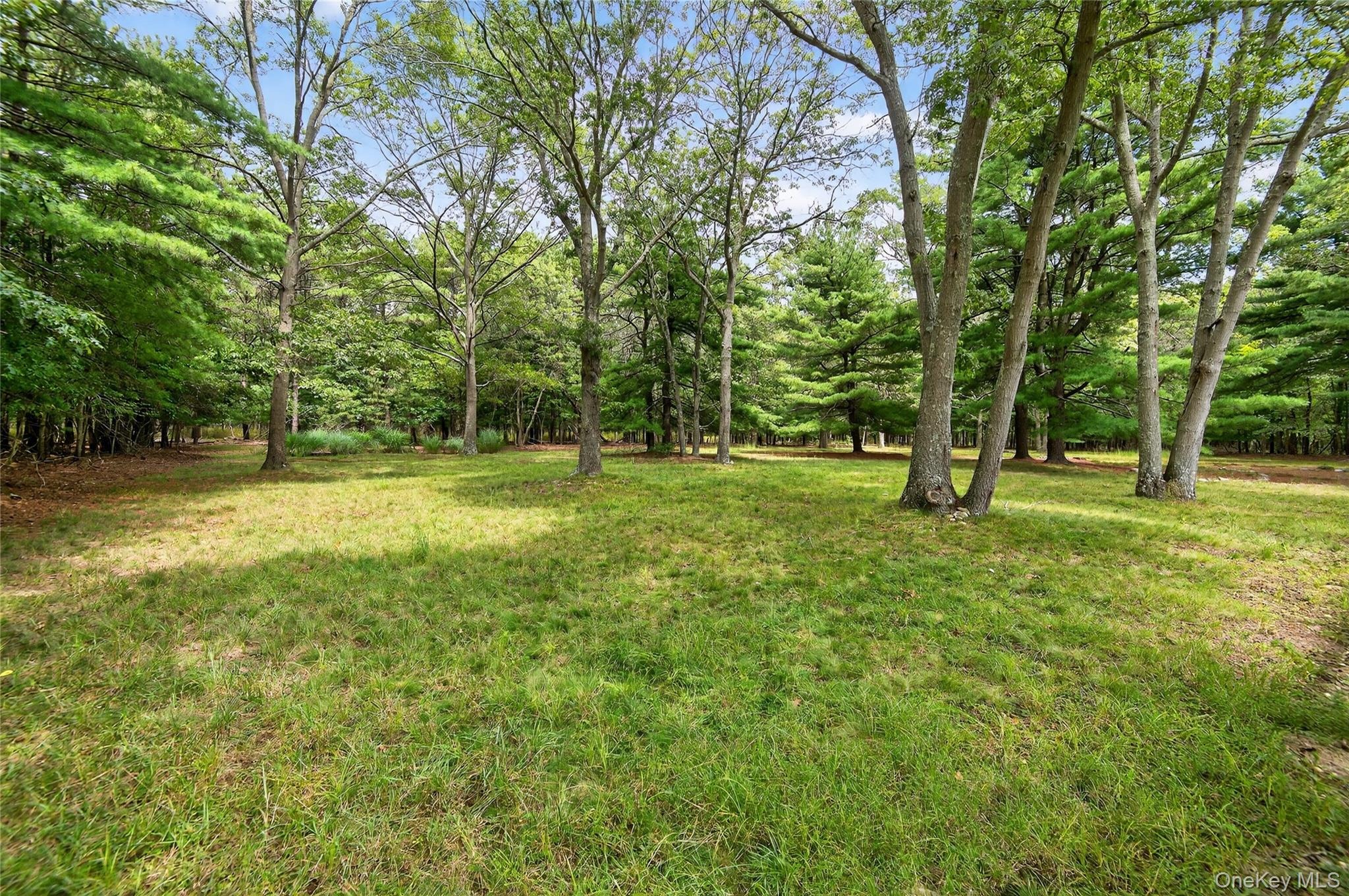 Country Rd, Medford, NY 11763 #1