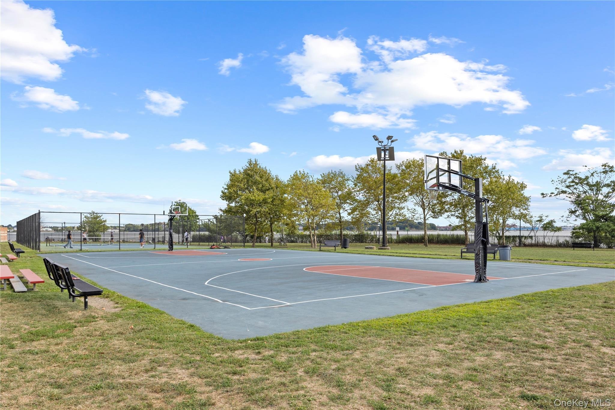 Heron Ln, Bronx, NY 10473 #1