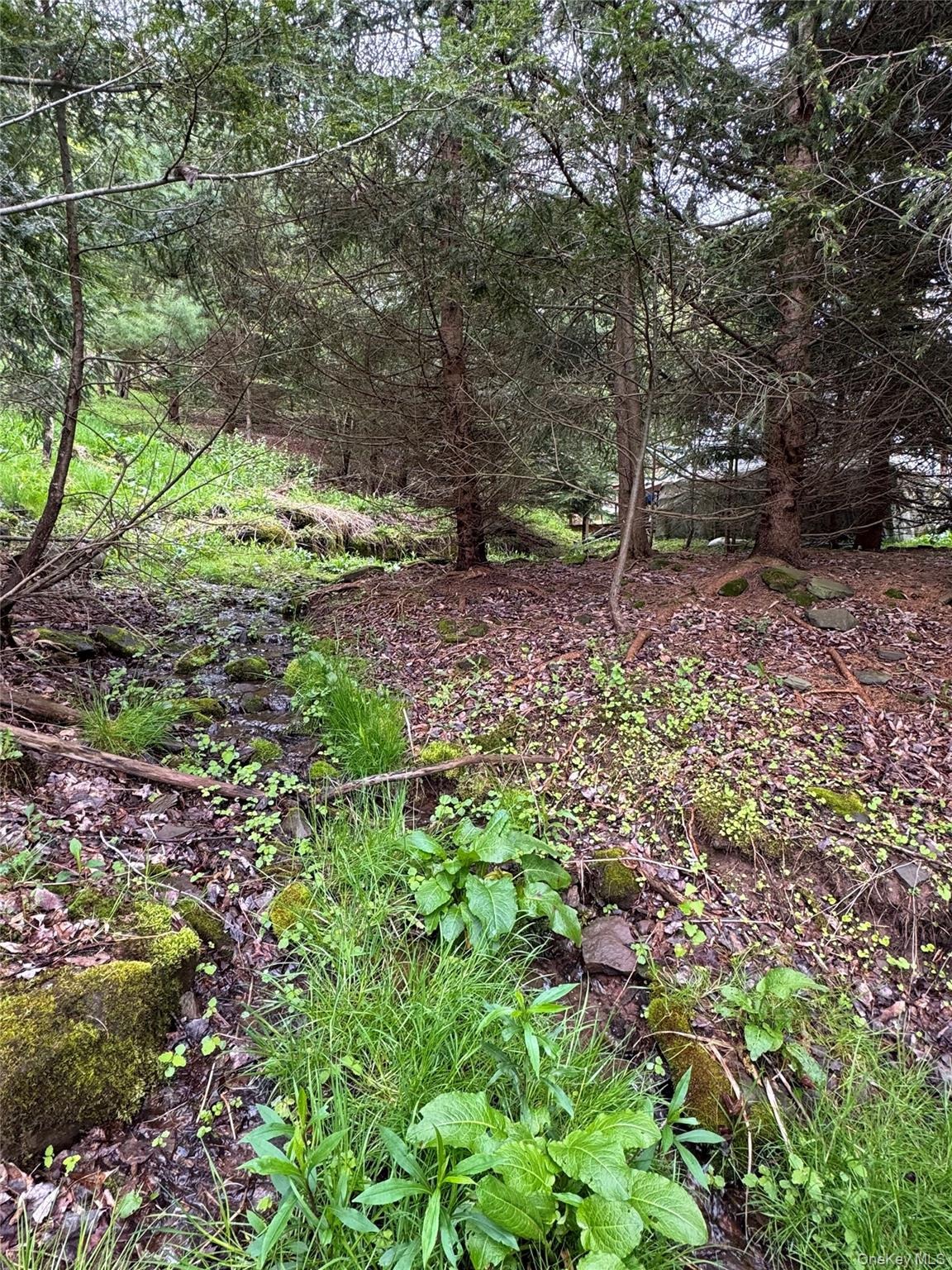 Federal Hill Rd 1 , Delhi, NY 13753