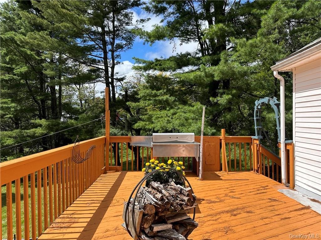 Kawlija Rd, Grahamsville, NY 12740 #1