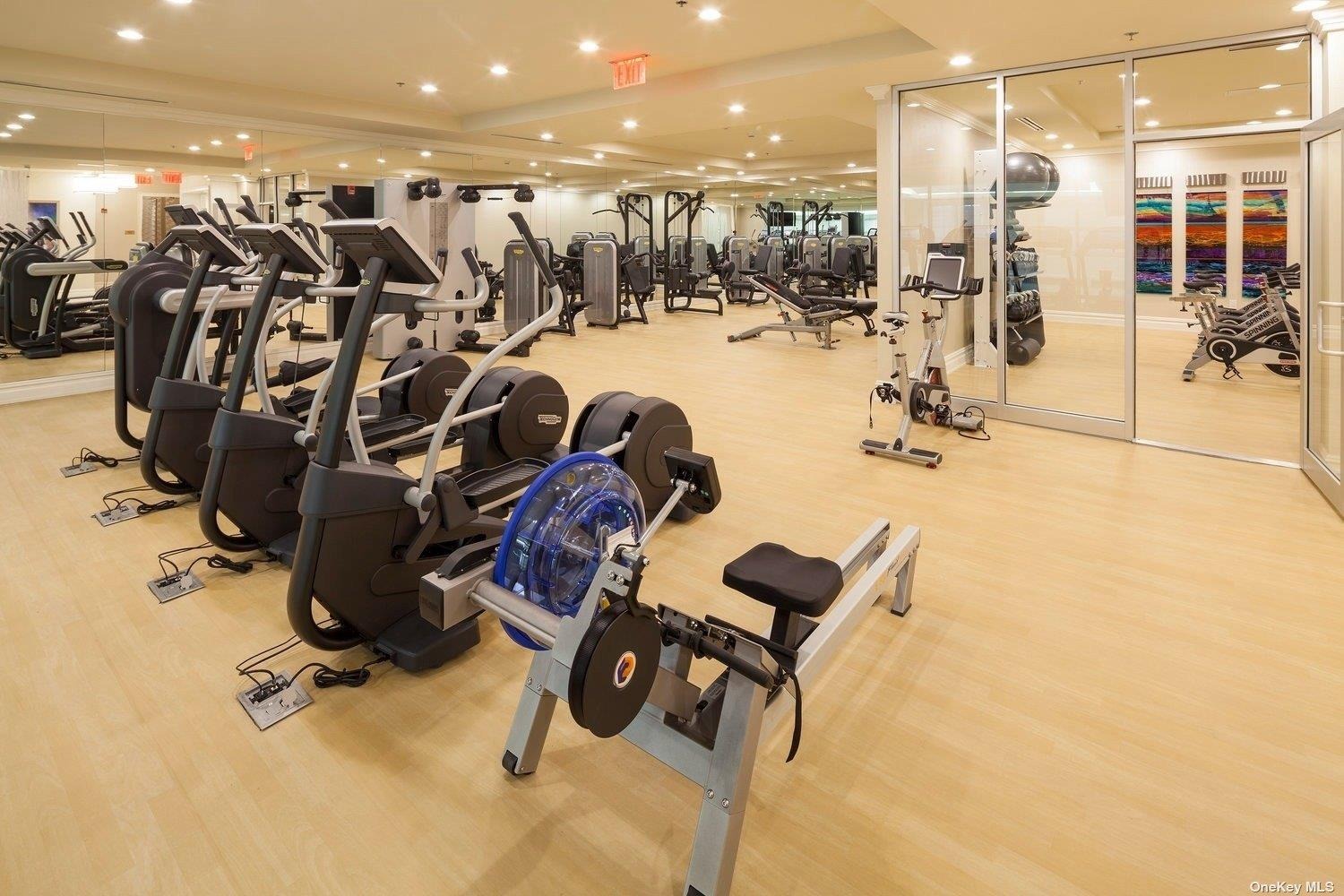 Royal Ct, New Hyde Park, NY 11040 #1