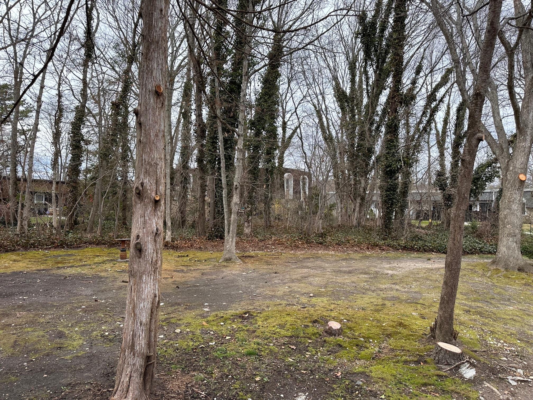 Blue Ridge Dr, Medford, NY 11763 #1