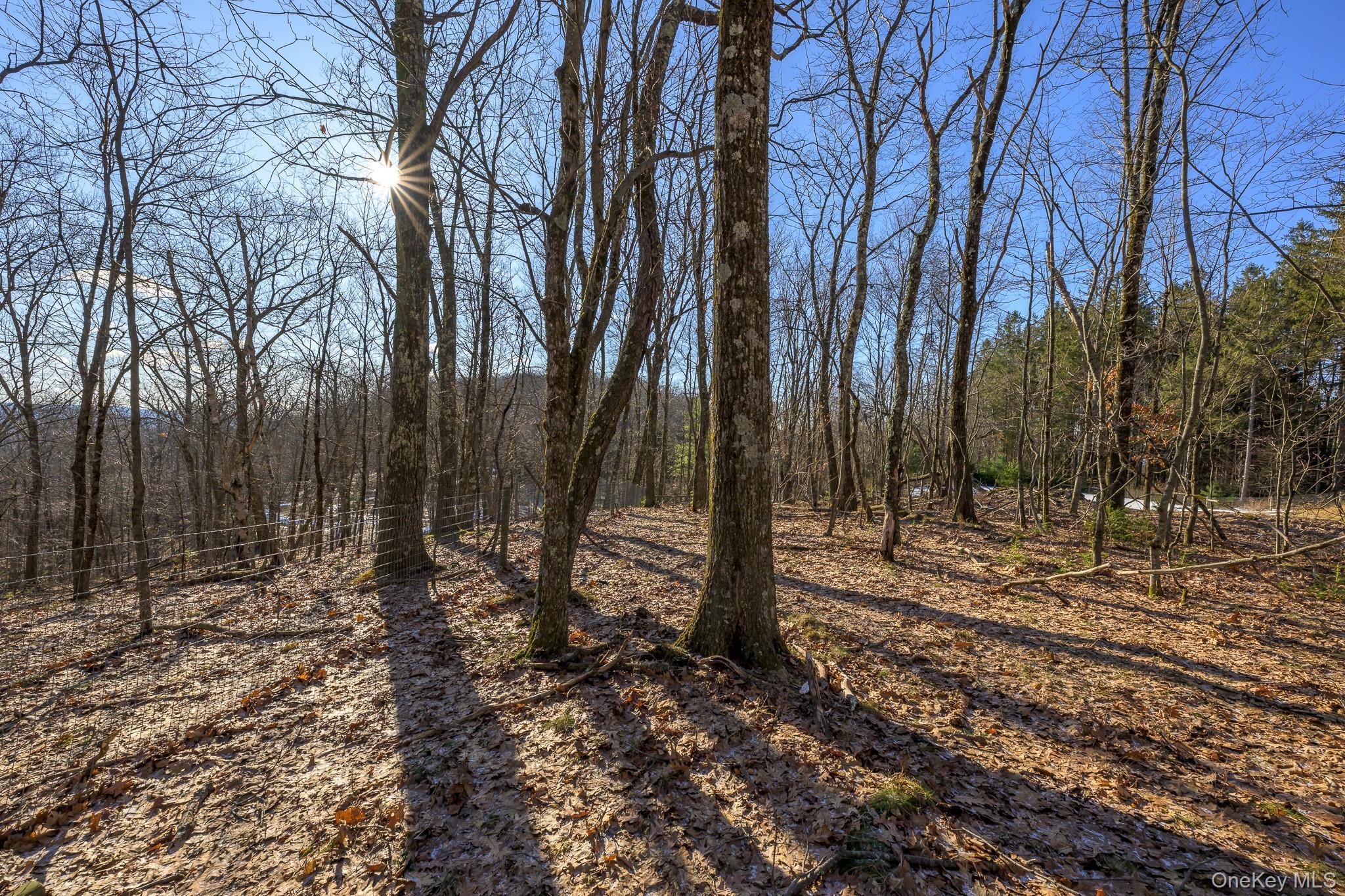 Ridge Ln, Hillsdale, NY 12529