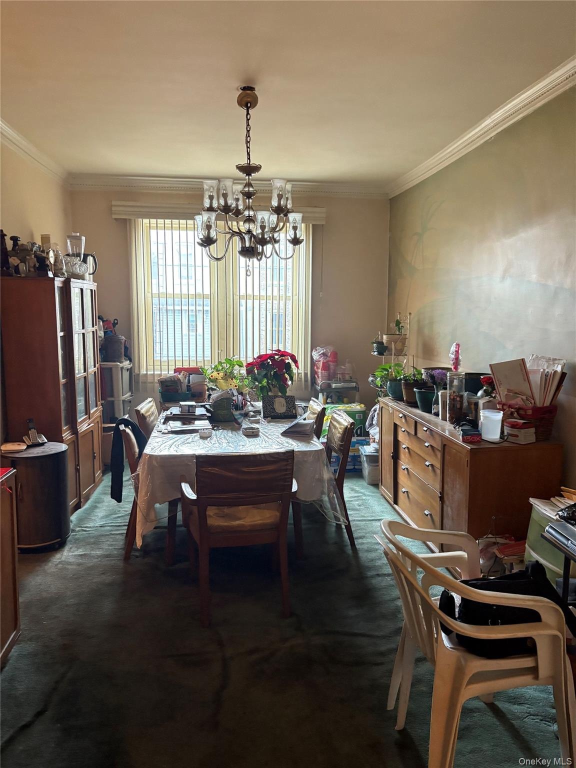 51st St, Brooklyn, NY 11203 #1