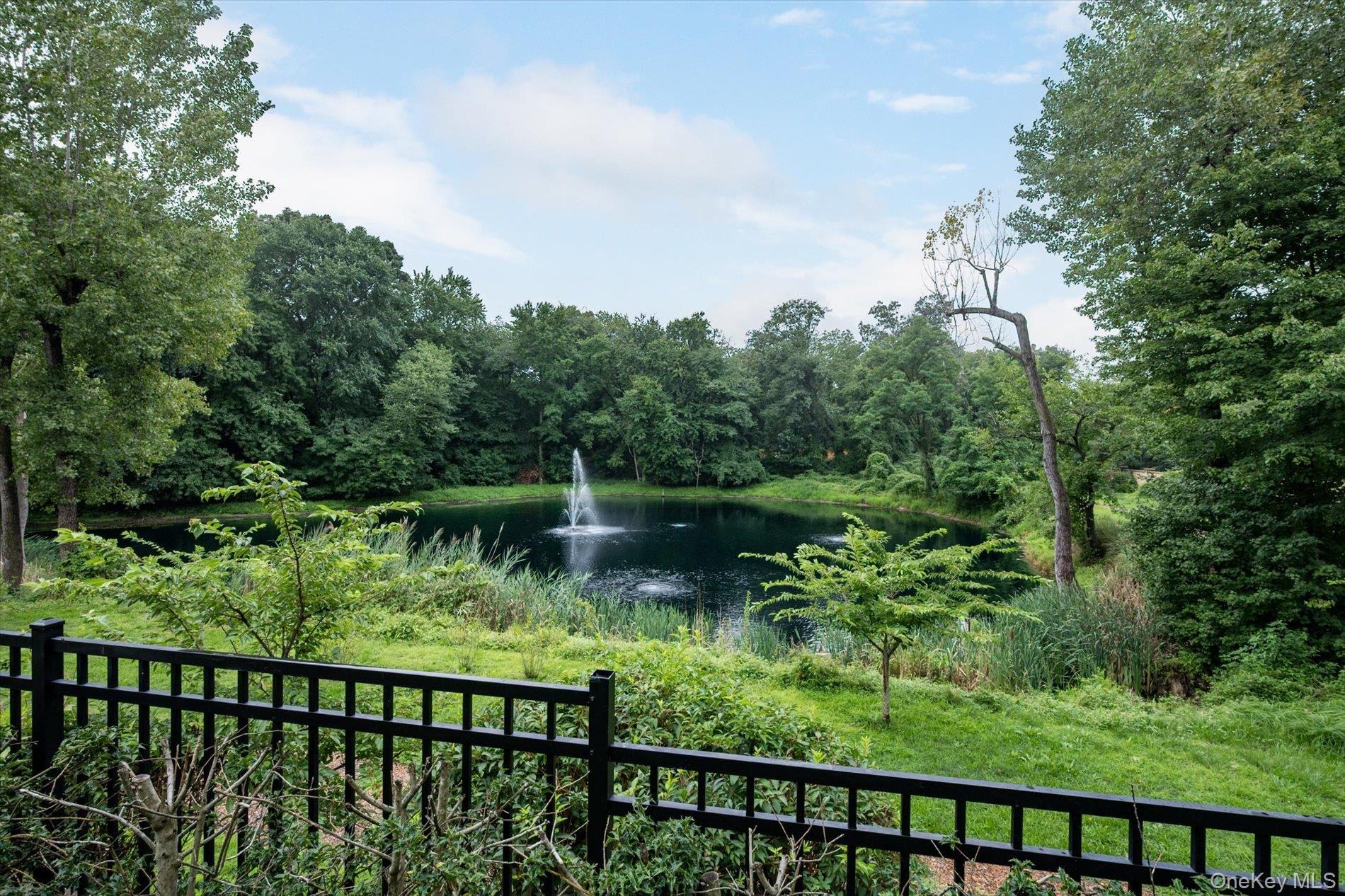 The Preserve , Woodbury, NY 11797 #1