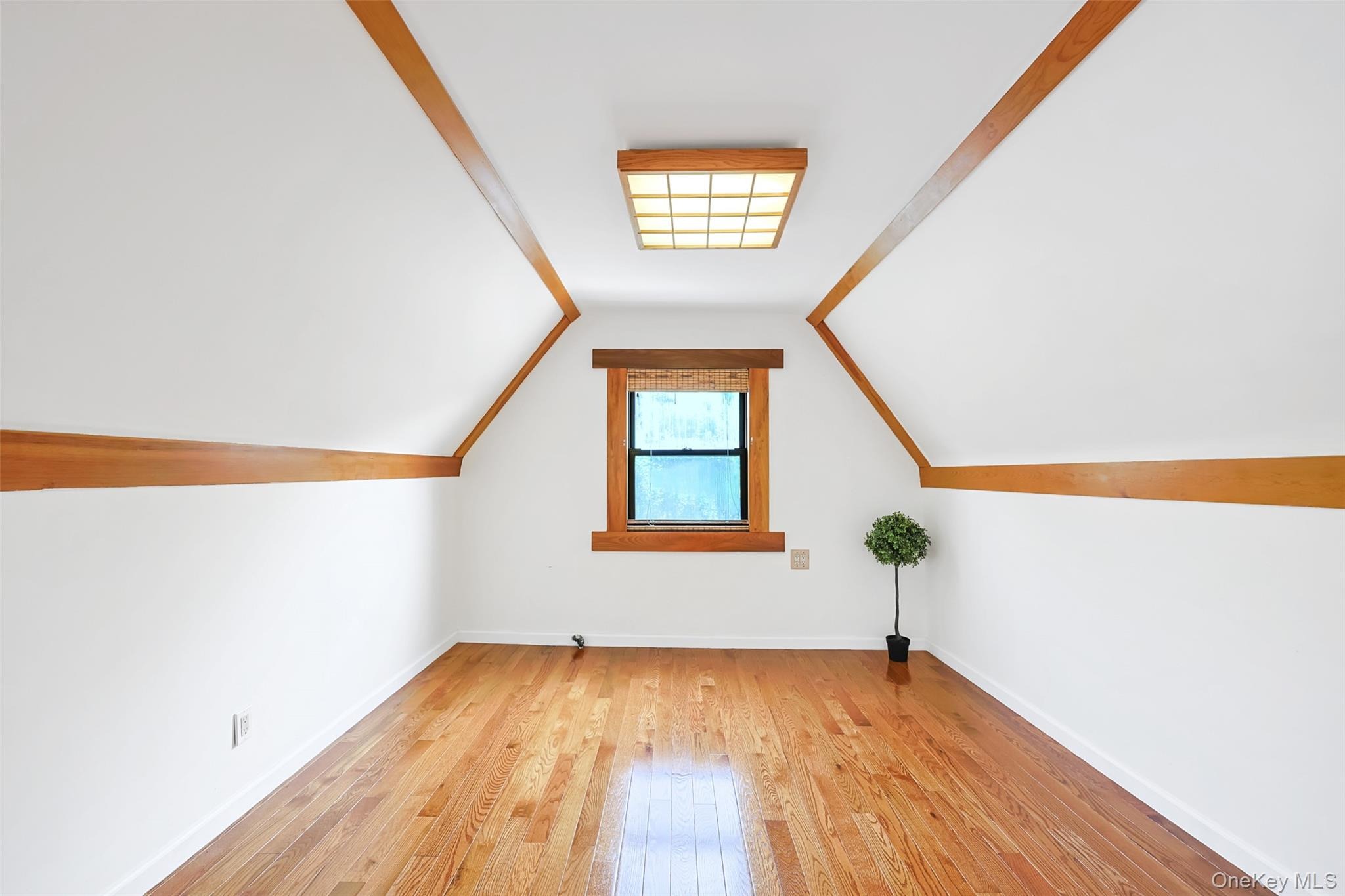 84th St, Middle Village, NY 11379 #1
