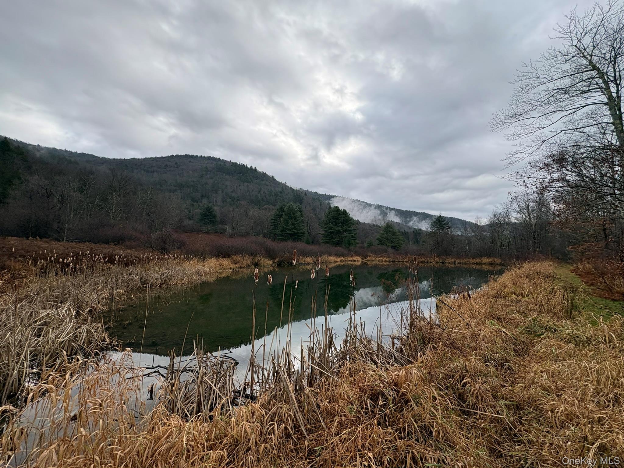 Harvard Rd, East Branch, NY 13756 #1