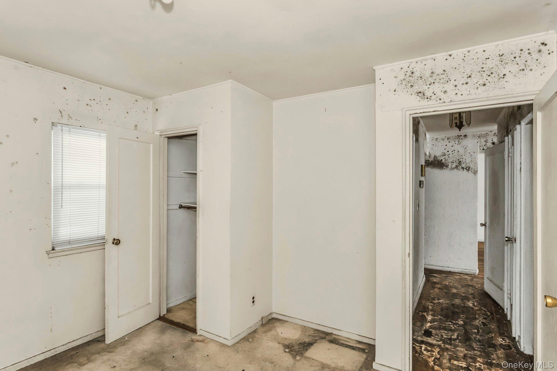 Preston Ln, Hicksville, NY 11801 #1