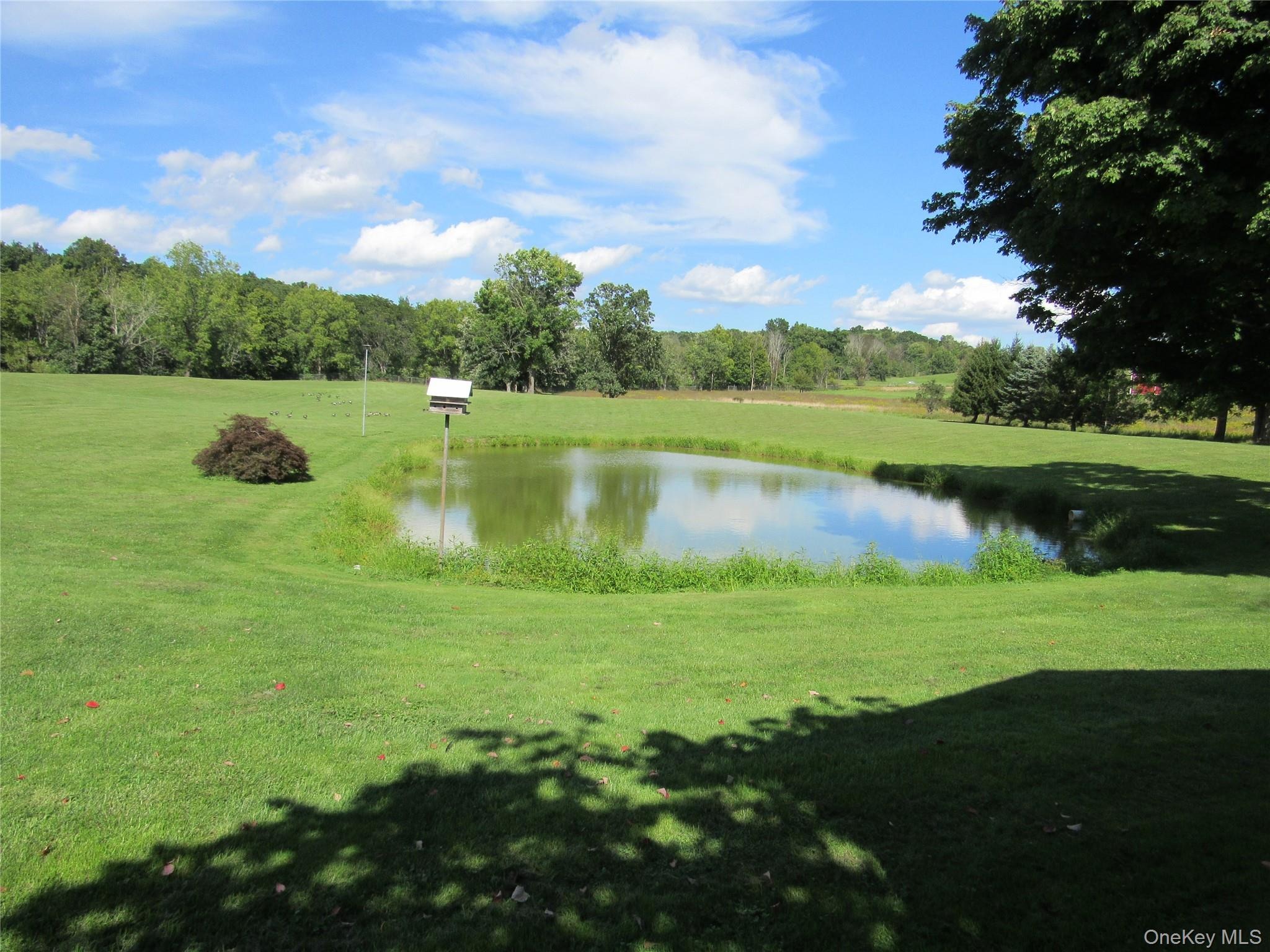 MT Orange Rd, Middletown, NY 10940 #1