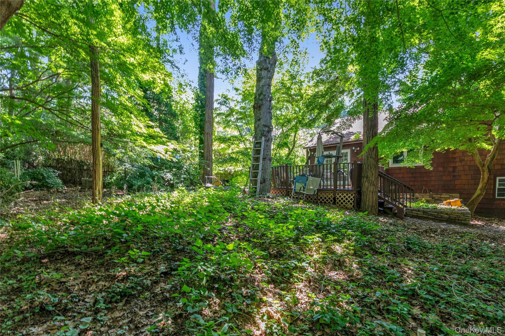 Laurel Ave, Sea Cliff, NY 11579 #1