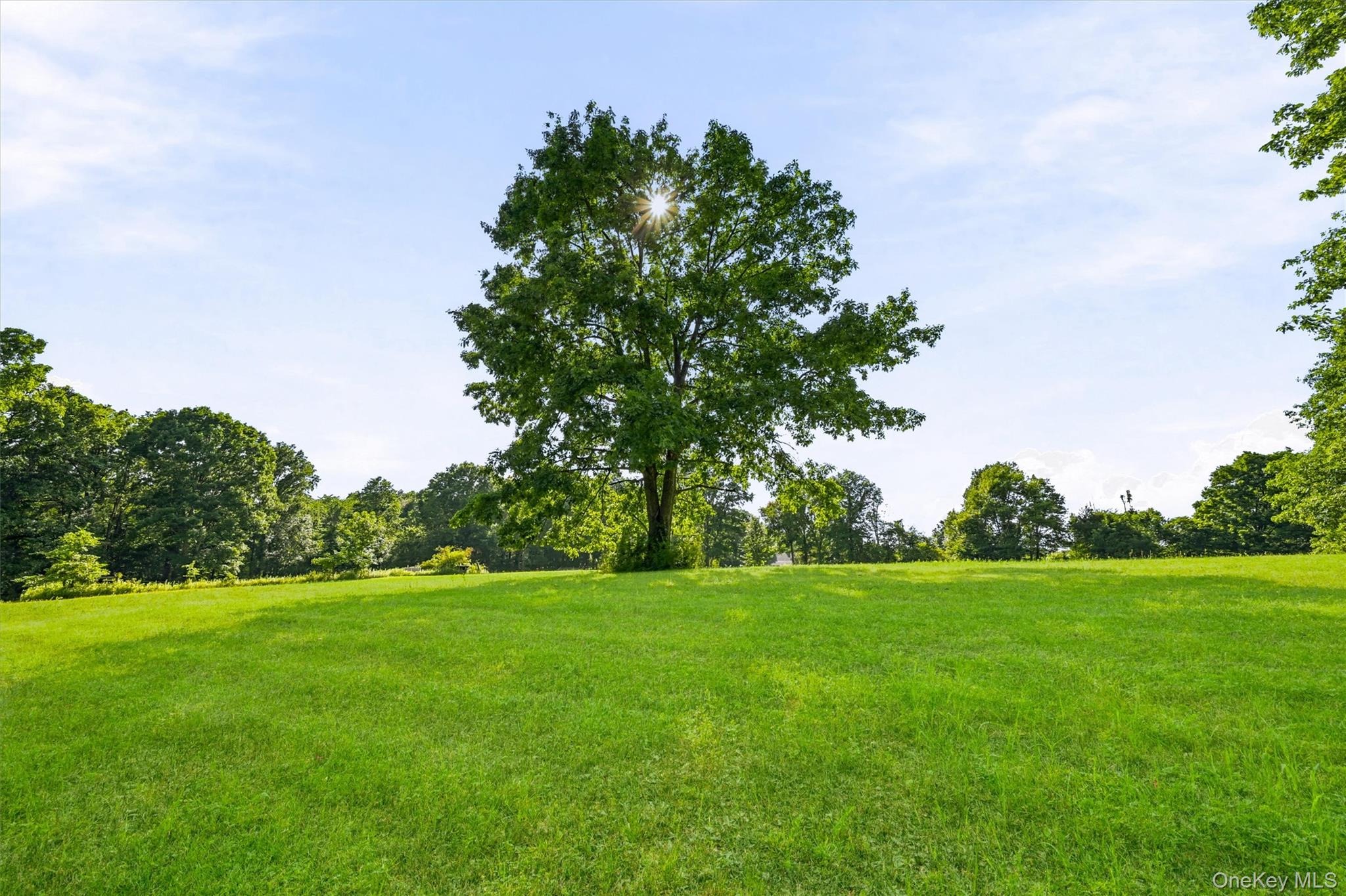 Maybrook Rd, Campbell Hall, NY 10916 #1