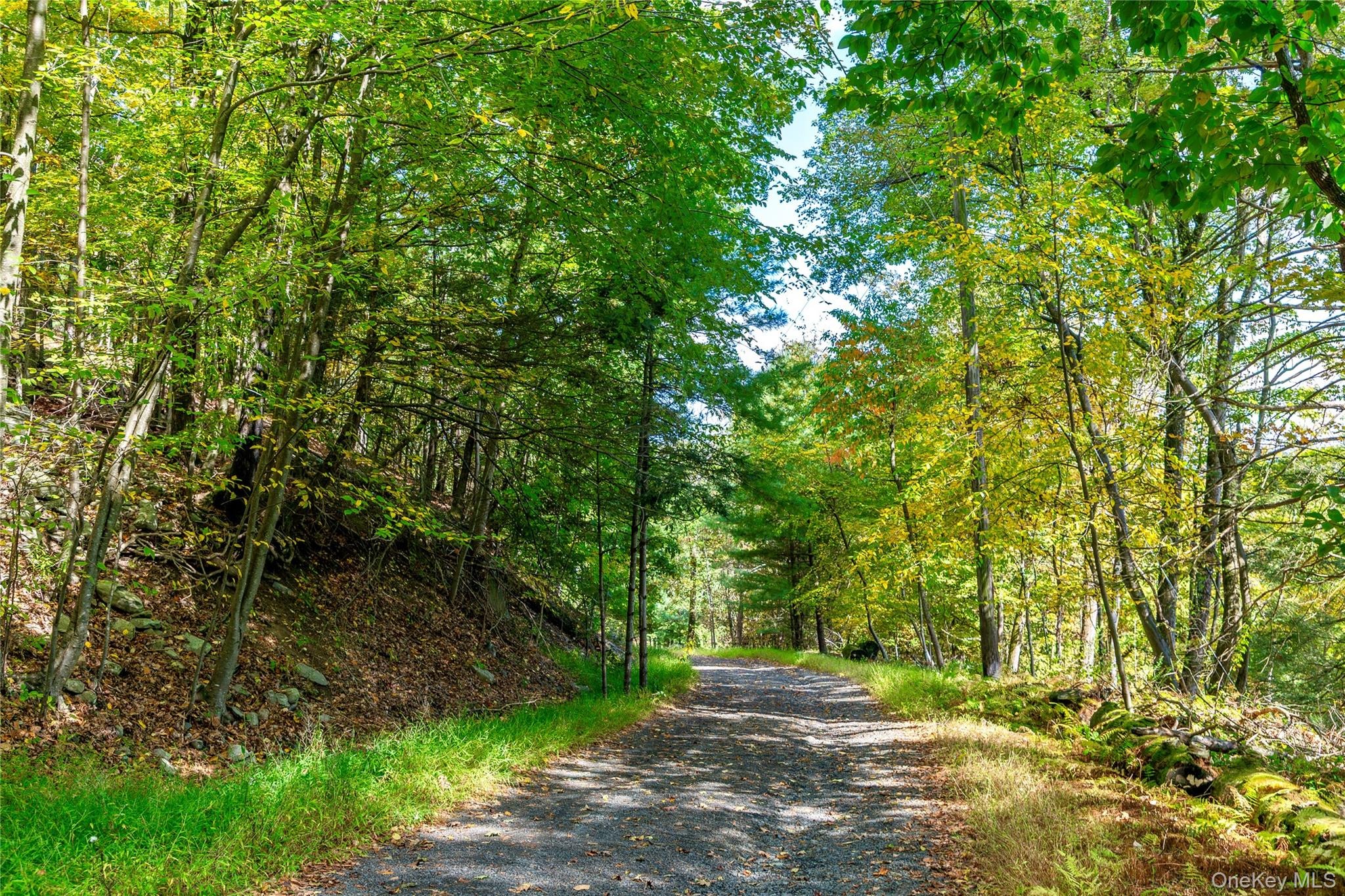 Hornbeck Ln, Accord, NY 12404 #1