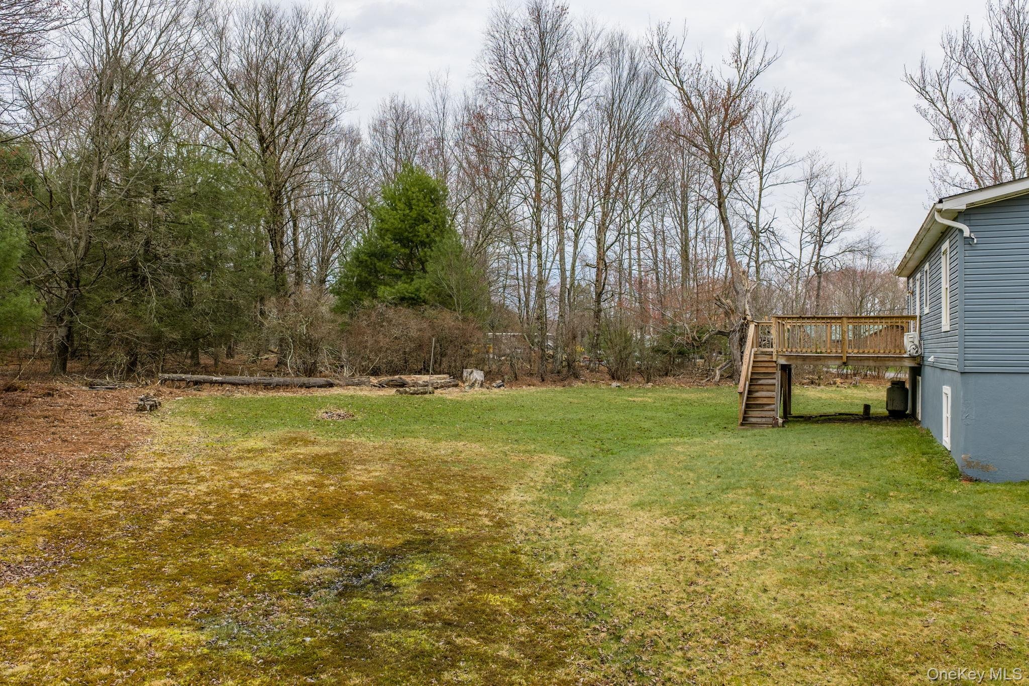 Dingle Daisy Rd, Monticello, NY 12701 #1