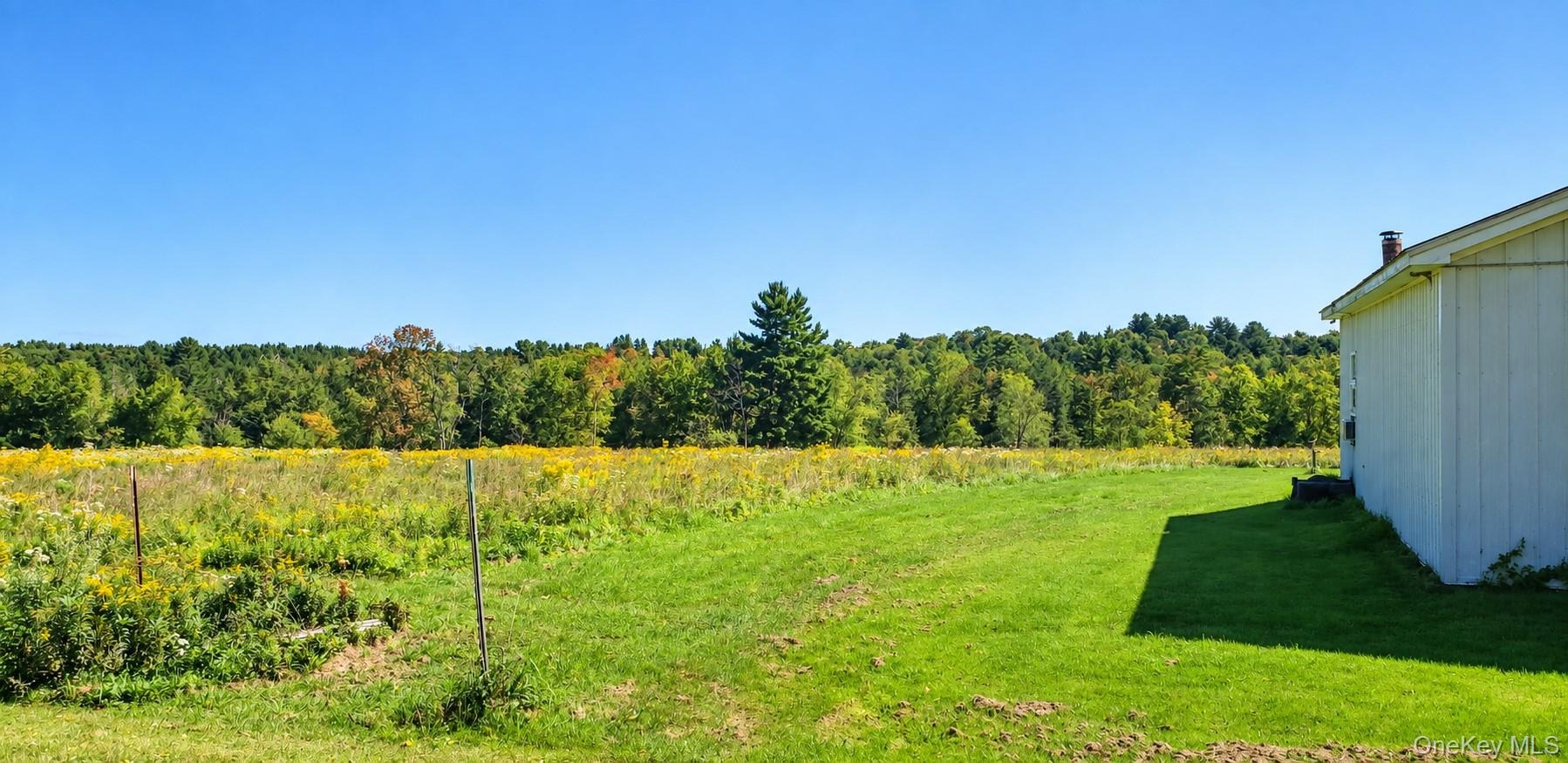 Bushville Swan Lake Rd, Ferndale, NY 12734 #1