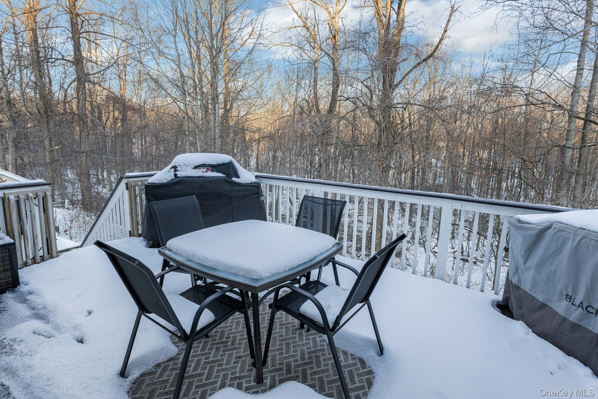 Quail Ln, Brewster, NY 10509 #1