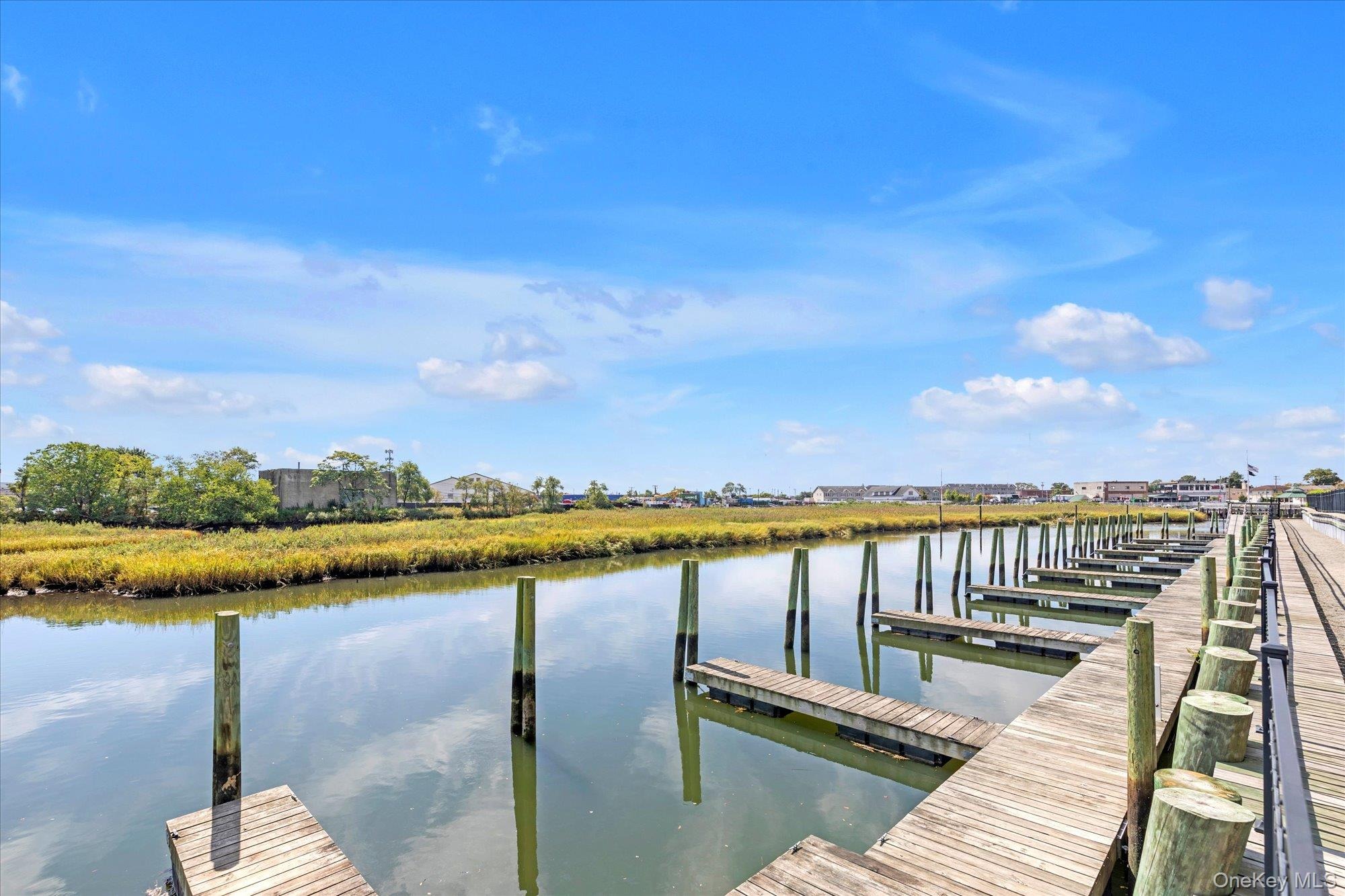 Marina Pointe Dr, East Rockaway, NY 11518 #1