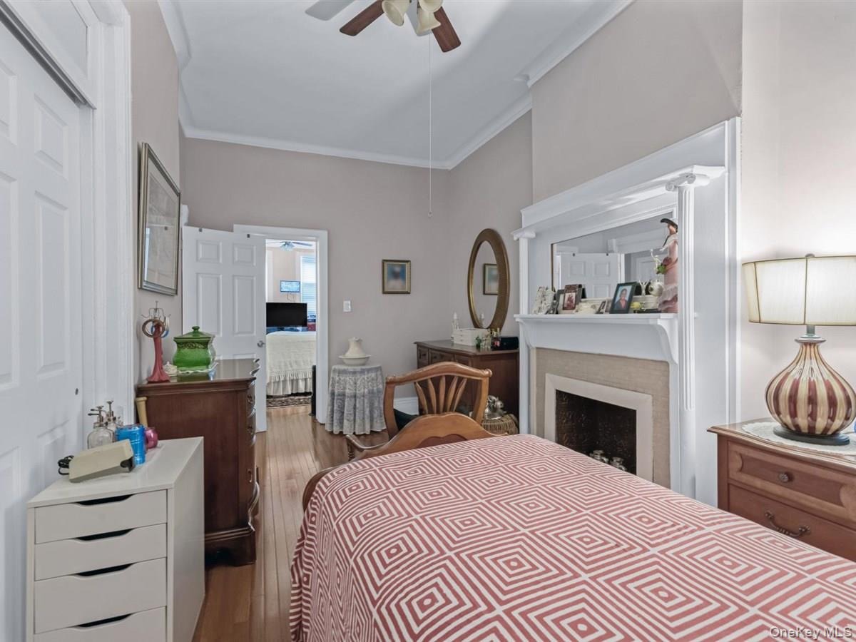 Halsey St, Brooklyn, NY 11233